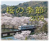 桜の季節2009